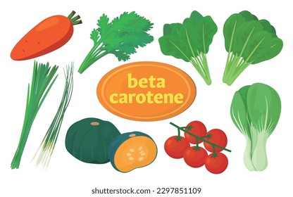 Vector illustration of food containing beta carotene.