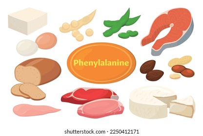 Vector illustration of food containing phenylalanine.