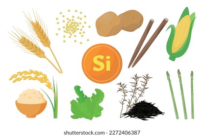 Vector illustration of food containing silicon.