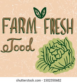 Vector illustration, food design. Hand lettering for restaurant, cafe menu, farm and shop. Elements for labels, logos, badges, stickers or icons. Calligraphic and typographic collection. Fresh food