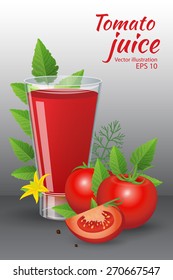 Vector illustration of food and drinks. A glass of tasty fresh tomato juice near the red ripe tomatoes, green leafs, blossom and dill isolated on grey background. Realistic style