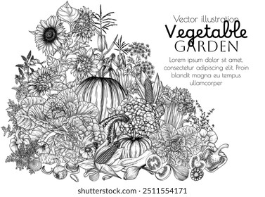 Ilustración vectorial de productos alimenticios. Verduras y verduras. Girasoles, calabaza, repollo, brócoli, coliflor, tomate, pimienta, berenjena, menta, eneldo, perejil, tomillo, apio, maíz, cebolla, ajo