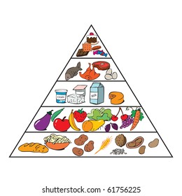 Food Chart For Kids