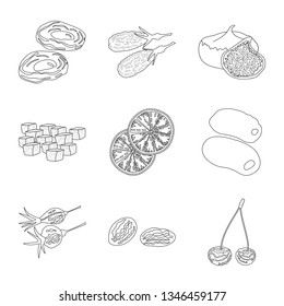 Vector illustration of food  and raw  icon. Set of food  and nature  stock vector illustration.