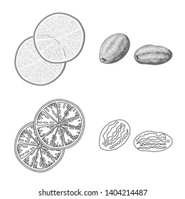 Vector illustration of food  and raw  logo. Set of food  and nature   stock symbol for web.