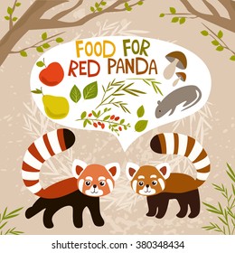 vector illustration. food for the red panda. diet, nutrition. beautiful animal