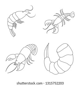 Vector illustration of food  and sea sign. Collection of food  and animal  stock symbol for web.