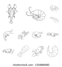 Vector illustration of food  and sea sign. Collection of food  and animal  stock symbol for web.