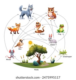 Vector illustration of food web ecosystem