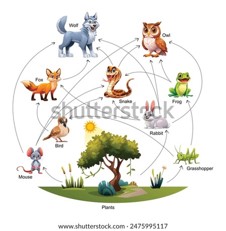 Vector illustration of food web ecosystem