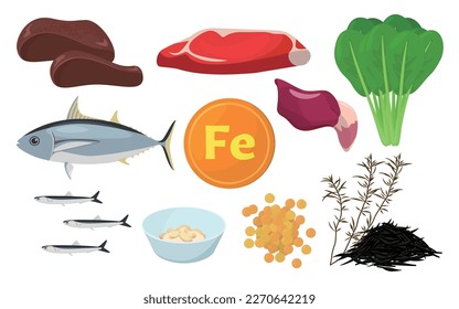 Vector illustration of foods containing iron.