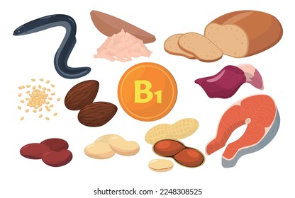 Vector illustration of foods containing vitamin B1.