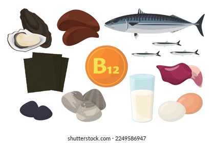 Vector illustration of foods containing vitamin B12.