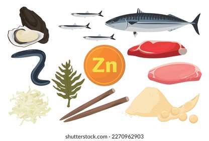 Vector illustration of foods containing zinc.