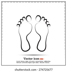 Vector illustration foot