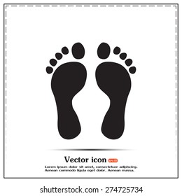 Vector illustration foot