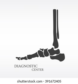Vector illustration foot bone anatomy side view. Orthopedic flat icon. Diagnostic center