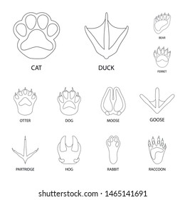 Vector illustration of foot and footprint symbol. Collection of foot and trace vector icon for stock.