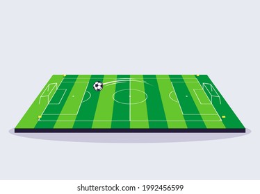 vector illustration of a football field with a soccer ball, side view