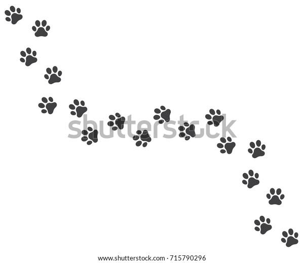 ベクター犬の歩道の軌跡のベクターイラストは ランダムに歩く足跡を印刷します のベクター画像素材 ロイヤリティフリー 715790296