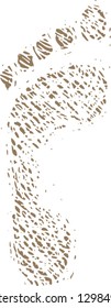 Vector illustration of footprint