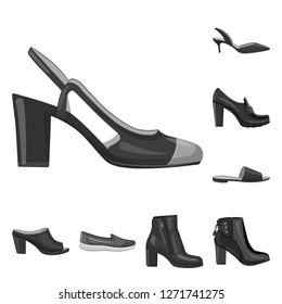 Vector illustration of footwear and woman sign. Collection of footwear and foot stock vector illustration.