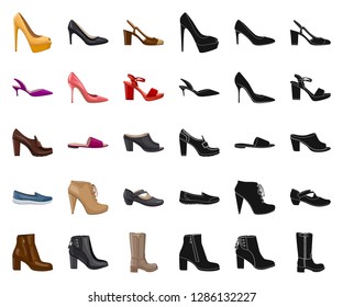 Vector illustration of footwear and woman sign. Collection of footwear and foot vector icon for stock.