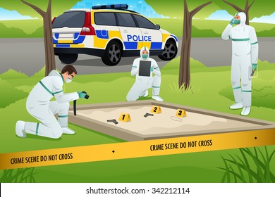 A Vector Illustration Of Forensics Working On A Crime Scene