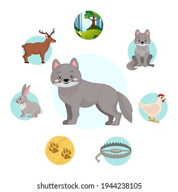 Vector illustration of forest animals. Cute cartoon wolf. Set of icons. 
