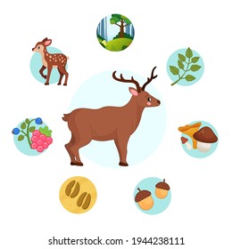 Ilustración vectorial de animales forestales. Cerveza de dibujos animados. Conjunto de iconos. 