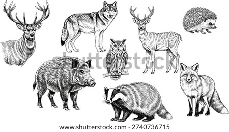 Vector illustration of forest animals including stag, wolf, boar, owl, fox, and hedgehog symbolizing wildlife, nature, education, and decorative design