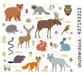 Vector illustration of forest animals: moose, deer, bear, hedgehog, rabbit, squirrel, beaver, wolf, fox, raccoon, owl, grass snake, isolated on transparent background.