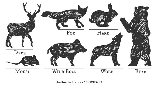 Vector illustration of a forest animals silhouettes drawn in sketchy manner. Hand-drawn grunge style.