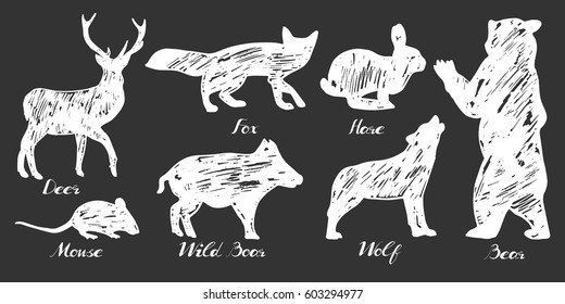 Vector illustration of a forest animals silhouettes drawn with chalk in sketchy manner. Hand-drawn blackboard style.