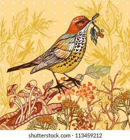 vector  illustration of a forest bird with autumn plants and mushrooms
