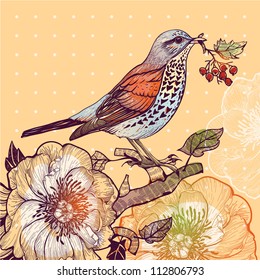 vector illustration of a forest bird and wild roses