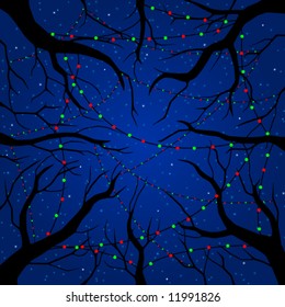 Vector illustration of a forest canopy at Christmas (other seasonal versions available)