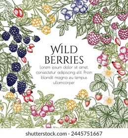 Vector illustration of forest edible berries. Strawberries, rose hips, raspberries, blackberries, lingonberries, blueberries, cloudberry