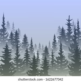 Vector illustration of a forest in a fog drawn images of spruce and pine