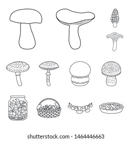 Vector illustration of forest and fresh icon. Collection of forest and nature stock symbol for web.