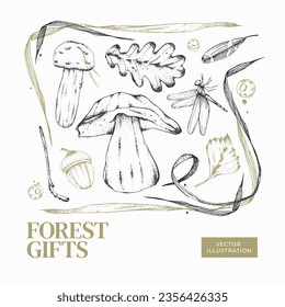 Ilustración vectorial de los regalos forestales en estilo grabado. Conjunto de hongos comestibles, hojas caídas, insectos, bellotas y bayas silvestres. Para el diseño de menús, recetas con ingredientes, carteles, textiles