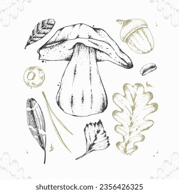 Vector illustration of forest items in engraving style. Set of edible mushrooms, fallen leaves, branch, acorns and wild berries. For menu design, recipes with ingredients, posters, textiles
