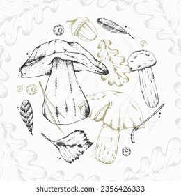 Vector illustration of forest items in engraving style. Set of edible mushrooms, fallen leaves, branch, acorns and wild berries. For menu design, recipes with ingredients, posters, textiles