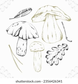 Vector illustration of forest items in engraving style. Set of edible mushrooms, fallen leaves, branch, acorns and wild berries. For menu design, recipes with ingredients, posters, textiles