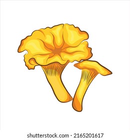 Vektorgrafik von Waldpilz, Chanterelle. Menüdesign, Rezepte, Symbol.