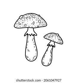 Vector illustration with forest mushrooms. Cartoon fly agaric or fairy mushroom.