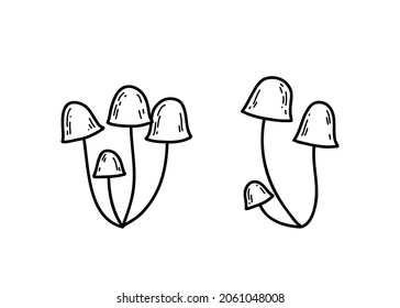 Vector illustration with forest mushrooms. Doodle toadstool illustration.