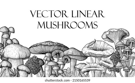 Vector illustration of forest mushrooms in engraving style. Linear graphic fly agaric, chanterelles, porcini mushrooms, honey agarics, moreli, mycenae, russula, boletus