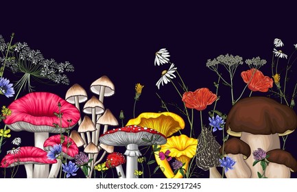 Vector illustration of a forest of mushrooms and wildflowers. Amanita, chanterelles, chamomile, white mushroom, clover, poppy, morels, mycena, dandelion, russula