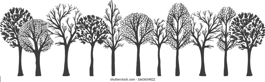 Vector Illustration Of Forest Or Park Alley Trees In Row. Natural Garden Or Greenhouse Landscapes. Botanical Museum. Vintage Hand Drawn Style.